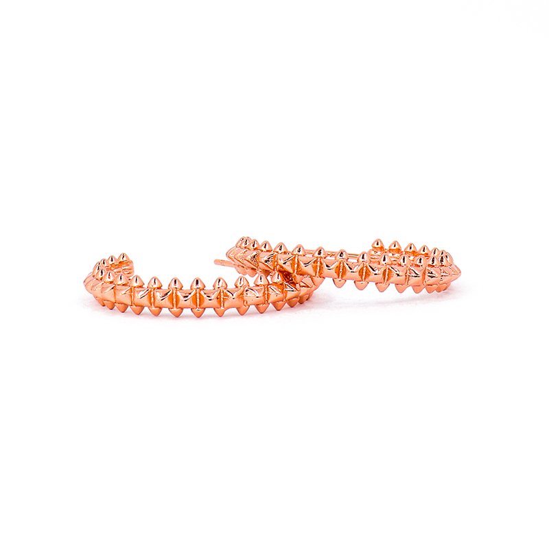 Orecchini PINK HOOPS