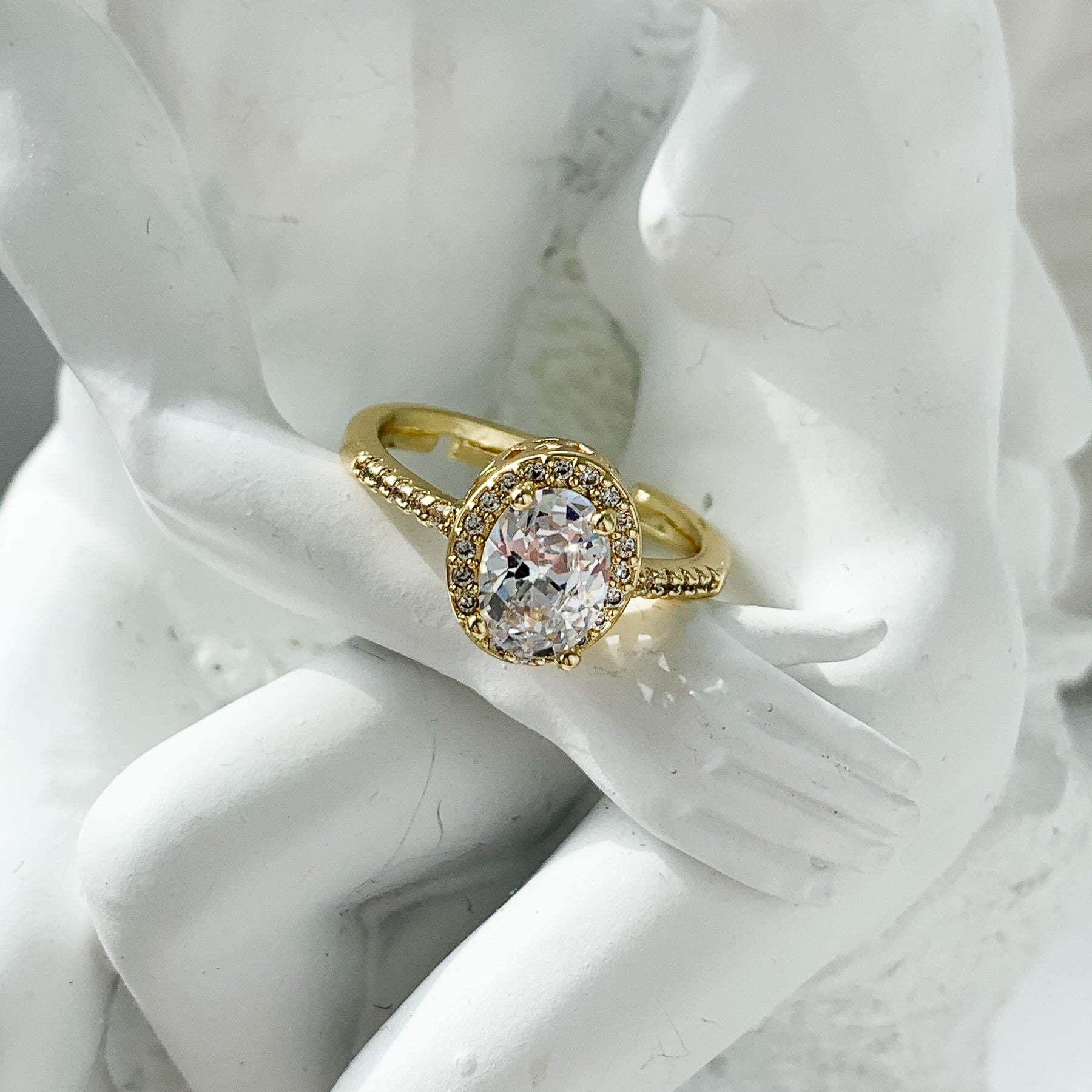 Anello SAIN