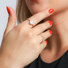 Anello SAIN